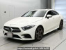 Used 2019 AT mercedes-benz cls-class 257314 Image[0]