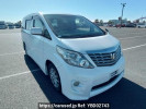 Toyota Alphard ANH20W