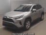 Used 2019 AT toyota rav4 MXAA54 Image[0]