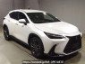 Used 2023 AT lexus nx AAZA20 Image[2]