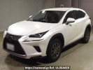 Lexus NX AYZ10