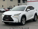 Lexus NX AYZ10