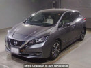 Nissan Leaf ZE1