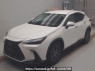 Used 2025 AT lexus nx AAZH20 Image[0]