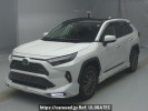Toyota RAV4 AXAH54