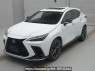 Used 2023 AT lexus nx AAZH25 Image[0]