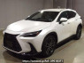 Used 2023 AT lexus nx AAZA20 Image[0]