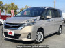 Used 2019 CVT nissan serena DAA-GC27 Image[0]