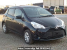 Toyota Vitz NSP135