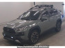 Used 2019 AT toyota rav4 MXAA54 Image[1]