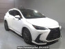 Used 2023 AT lexus nx AAZH25 Image[2]