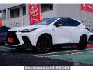 Lexus NX AAZH25