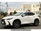 Lexus NX AAZH20