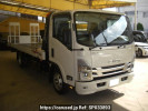 Isuzu Elf Truck NPR88AN