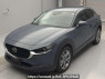 Used 2023 AT mazda cx-30 DMEJ3P Image[0]