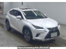 Used 2020 AT lexus nx AYZ10 Image[0]
