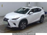 Used 2020 AT lexus nx AYZ10 Image[1]