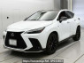 Used 2023 AT lexus nx AAZH20 Image[0]