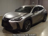 Used 2023 AT lexus ux MZAH10 Image[0]