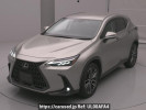 Lexus NX AAZH20