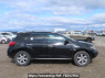 Used 2010 AT nissan murano TZ51 Image[7]