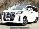 Toyota Alphard DBA-AGH30W