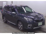Used 2019 AT subaru forester SKE Image[0]