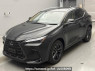 Used 2023 AT lexus nx AAZH20 Image[0]