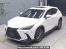 Used 2023 AT lexus nx AAZH25 Image[0]
