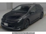 Used 2023 AT toyota corolla-touring-wagon ZWE215W Image[0]