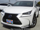 Lexus NX AYZ10