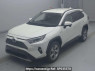 Used 2019 AT toyota rav4 AXAH54 Image[0]