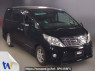 Used 2009 AT toyota alphard ANH20W Image[0]