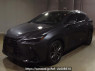 Used 2023 AT lexus nx AAZH20 Image[0]