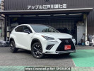 Lexus NX AYZ10