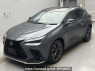 Used 2023 AT lexus nx AAZH25 Image[0]
