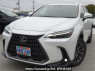 Used 2022 AT lexus nx AAZH20 Image[0]