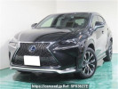 Lexus NX AYZ10