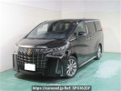Toyota Alphard AGH30W