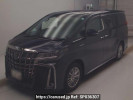 Toyota Alphard Hybrid AYH30W