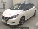 Nissan Leaf ZE1
