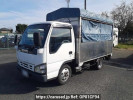 Isuzu Elf Truck NKR81AN