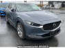 Used 2022 AT mazda cx-30 DMEP Image[0]