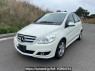 Used 2010 AT mercedes-benz b-class 245232 Image[2]