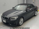 BMW 2 Series 1J20