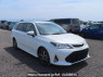 Used 2019 AT toyota corolla-fielder NKE165G Image[0]
