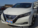 Nissan Leaf ZE1