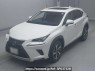 Used 2020 AT lexus nx AYZ10 Image[0]