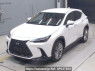 Used 2023 AT lexus nx AAZH20 Image[0]