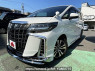 Used 2019 AT toyota alphard DBA-AGH30W Image[0]